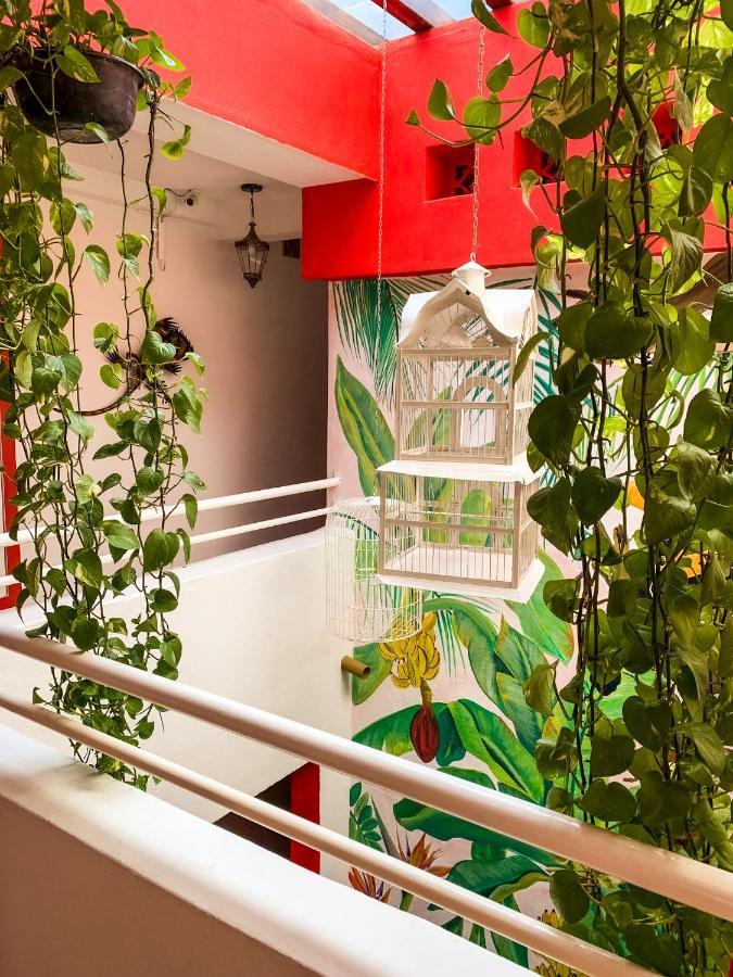 La Iguana Vallarta Lgbt Adults Only - Romantic Zone - Party Clubbing Street Puerto Vallarta Extérieur photo